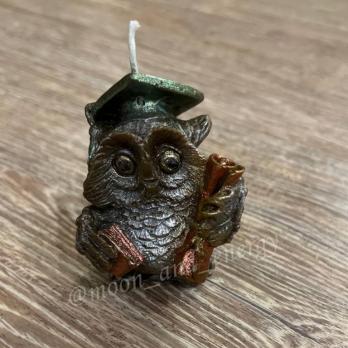 Сова мудрости